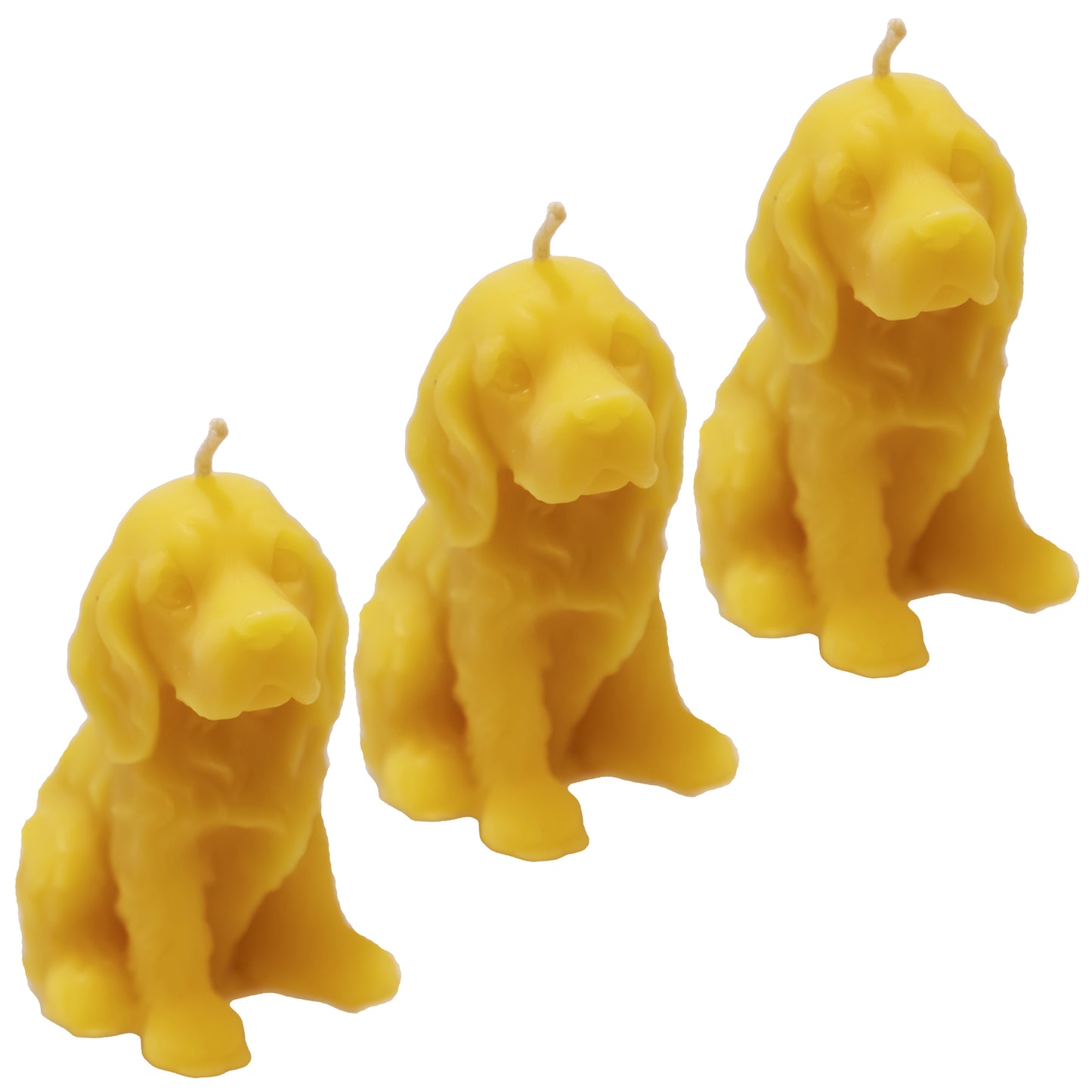 Bienenwachskerze Hund