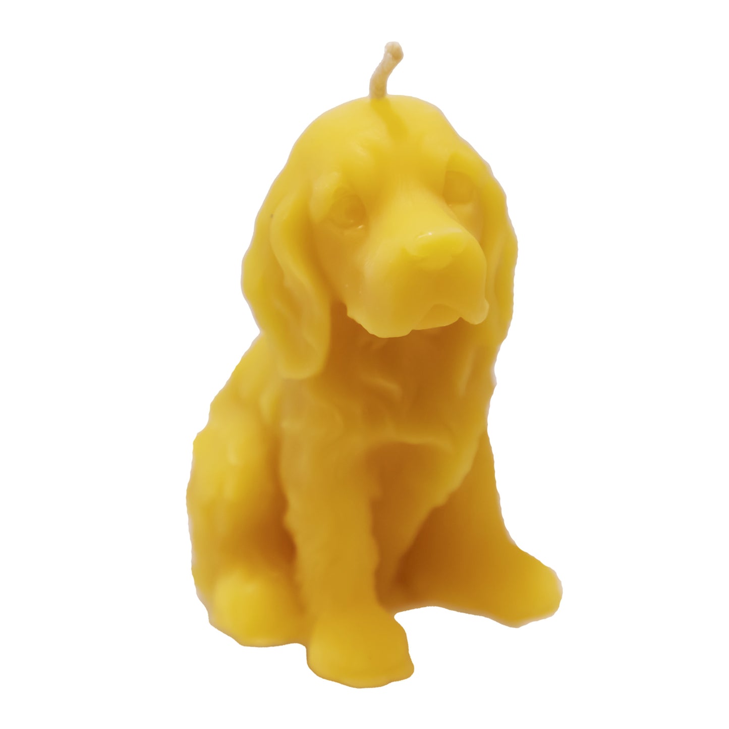 Bienenwachskerze Hund