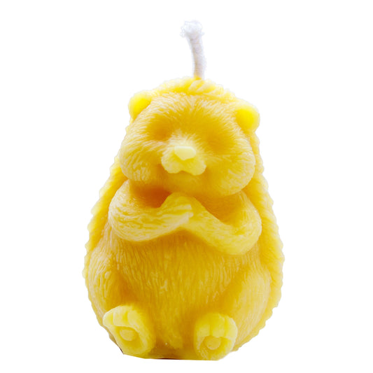 6 Kerzen "Igel"