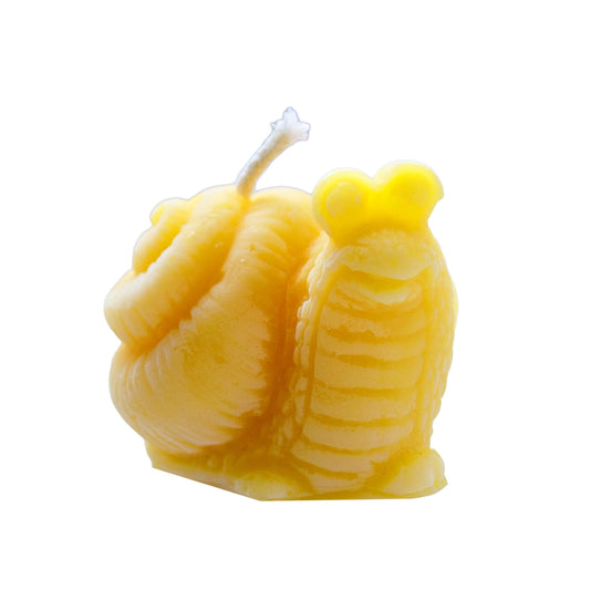 Kerze Schnecke